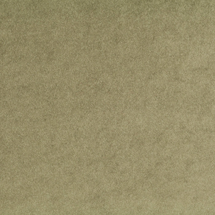 Carlucci Eternal Velvet 032 Fabric Sample CA1540/032
