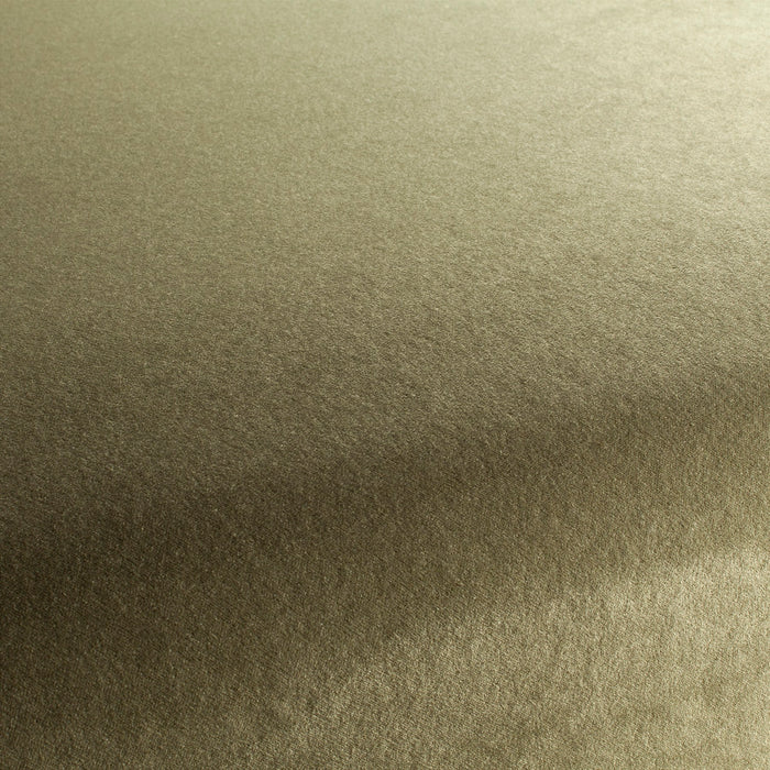 Carlucci Eternal Velvet 032 Fabric Sample CA1540/032