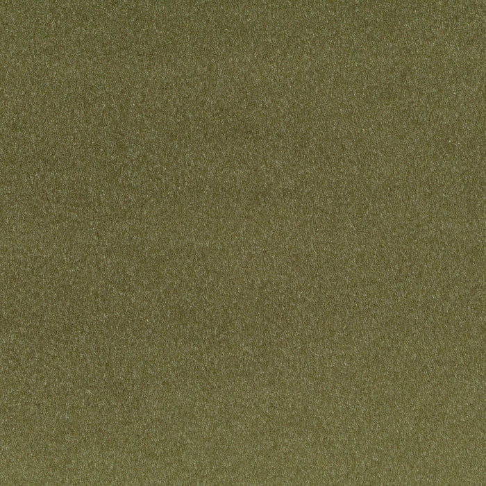 Carlucci Eternal Velvet 033 Fabric Sample CA1540/033
