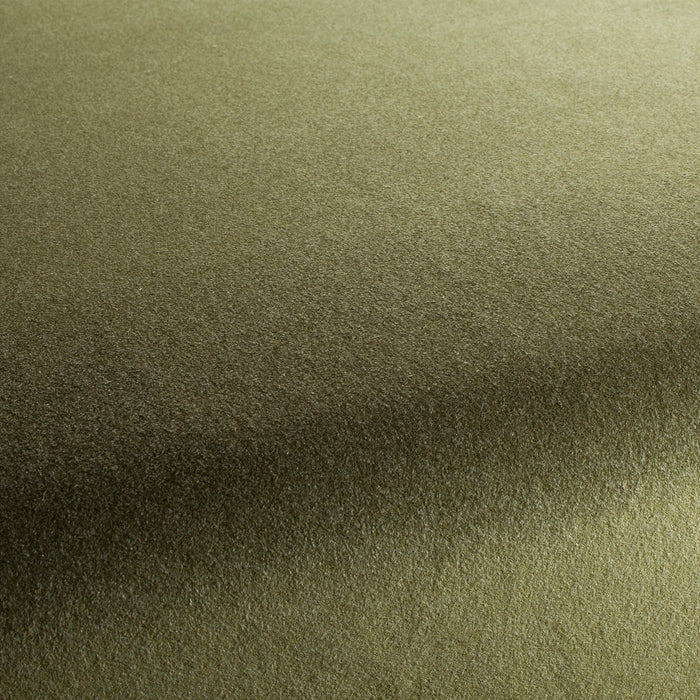 Carlucci Eternal Velvet 033 Fabric Sample CA1540/033