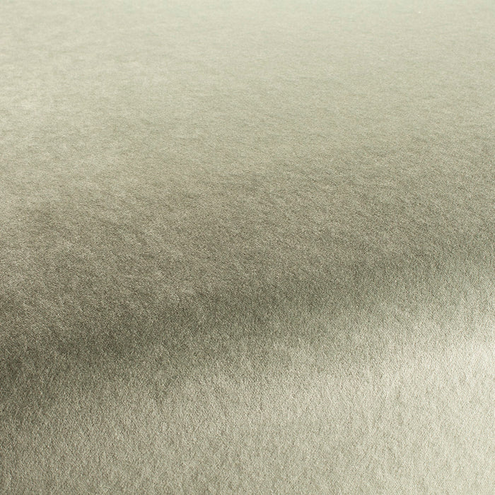 Carlucci Eternal Velvet 034 Fabric Sample CA1540/034