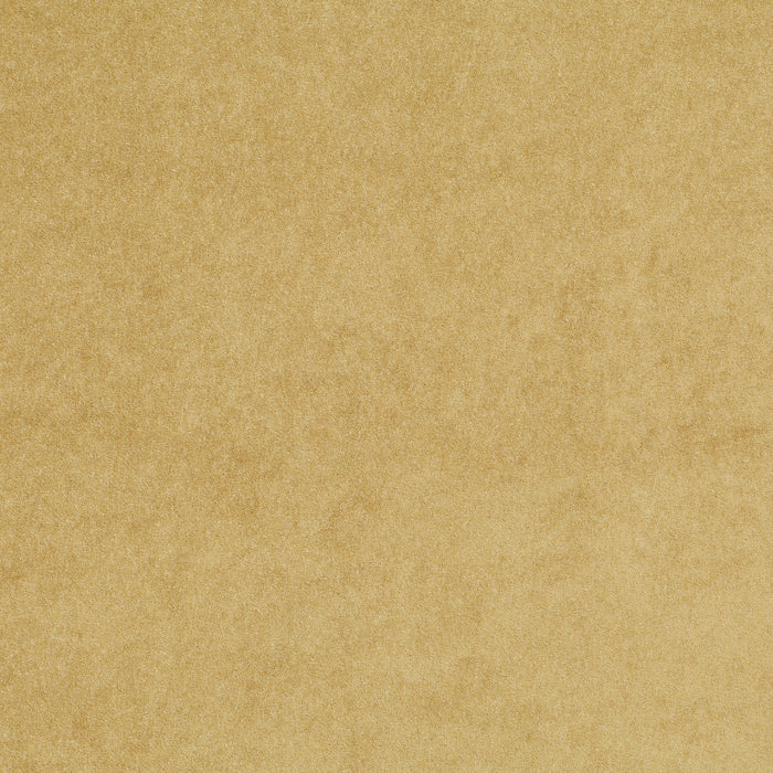 Carlucci Eternal Velvet 040 Fabric CA1540/040