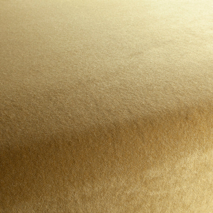 Carlucci Eternal Velvet 040 Fabric CA1540/040