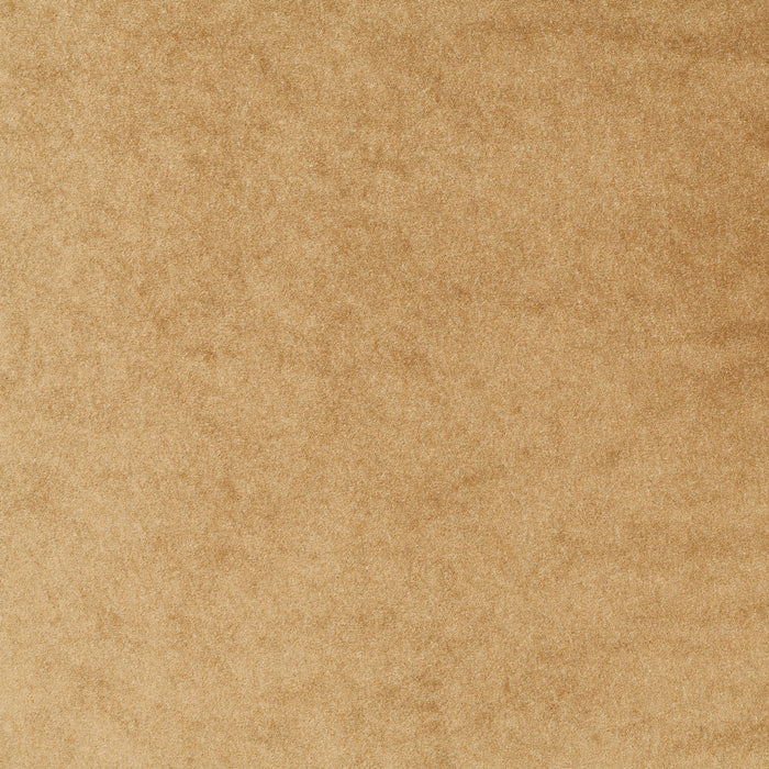 Carlucci Eternal Velvet 041 Fabric CA1540/041