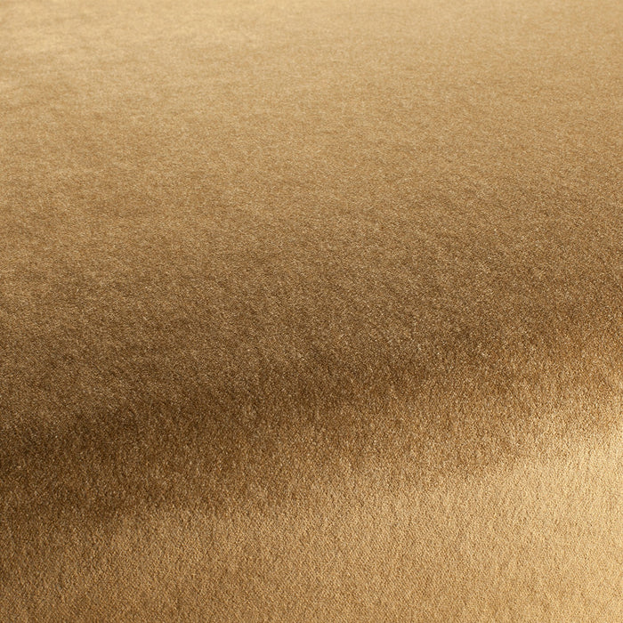 Carlucci Eternal Velvet 041 Fabric CA1540/041