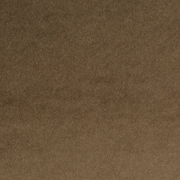Carlucci Eternal Velvet 042 Fabric Sample CA1540/042