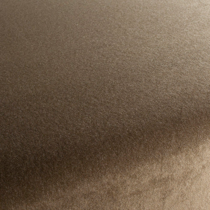 Carlucci Eternal Velvet 042 Fabric Sample CA1540/042