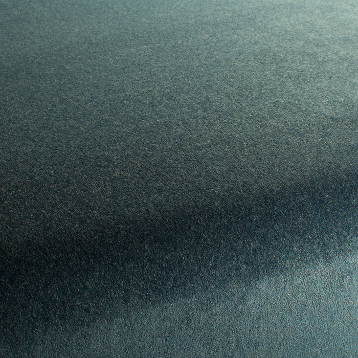 Carlucci Eternal Velvet 050 Fabric Sample CA1540/050