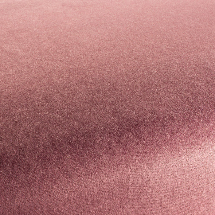 Carlucci Eternal Velvet 061 Fabric Sample CA1540/061