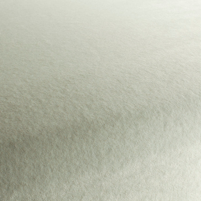 Carlucci Eternal Velvet 070 Fabric Sample CA1540/070