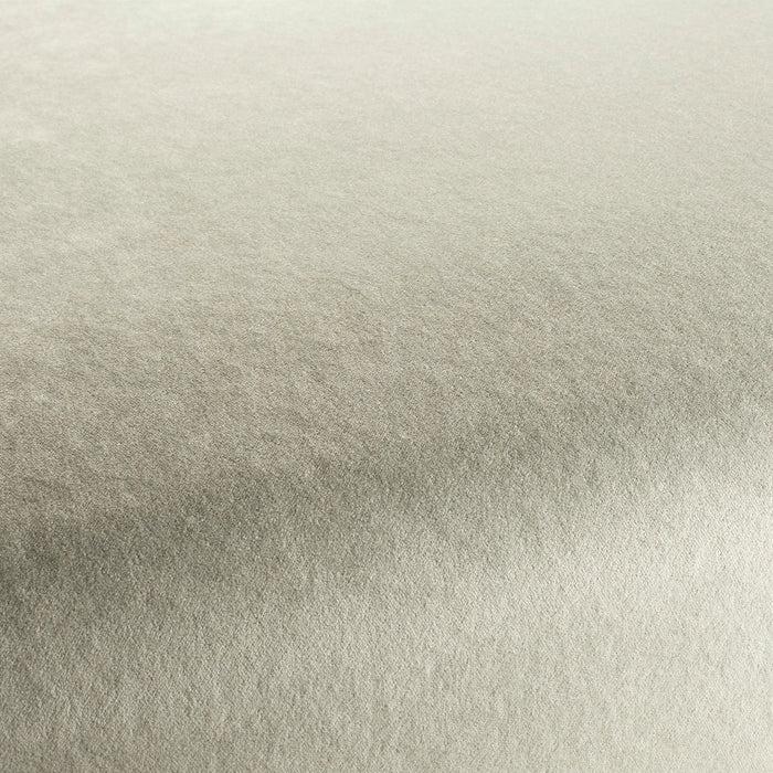Carlucci Eternal Velvet 071 Fabric CA1540/071