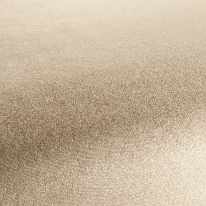 Carlucci Eternal Velvet 072 Fabric Sample CA1540/072