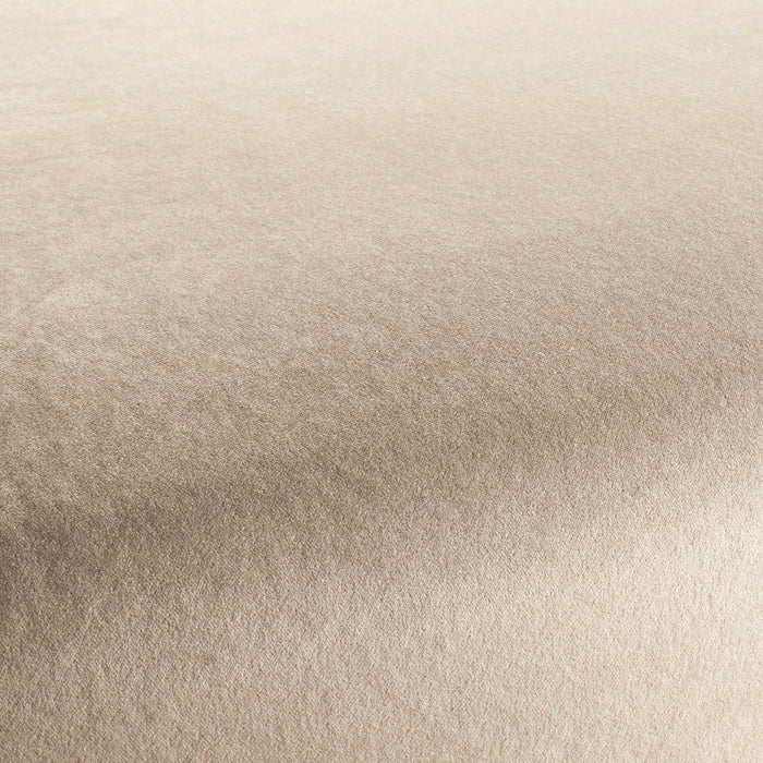 Carlucci Eternal Velvet 073 Fabric Sample CA1540/073