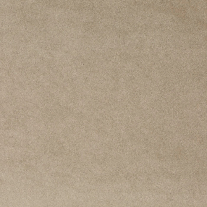 Carlucci Eternal Velvet 074 Fabric Sample CA1540/074