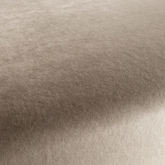 Carlucci Eternal Velvet 074 Fabric Sample CA1540/074