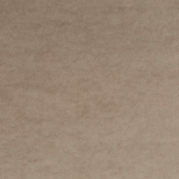 Carlucci Eternal Velvet 075 Fabric Sample CA1540/075