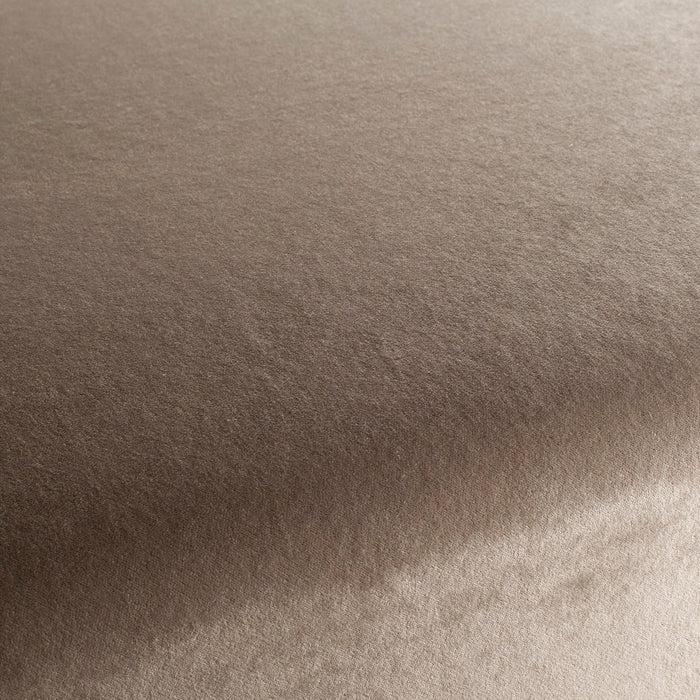 Carlucci Eternal Velvet 075 Fabric Sample CA1540/075