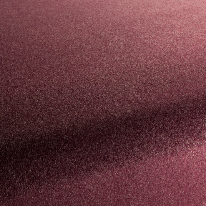 Carlucci Eternal Velvet 080 Fabric Sample CA1540/080