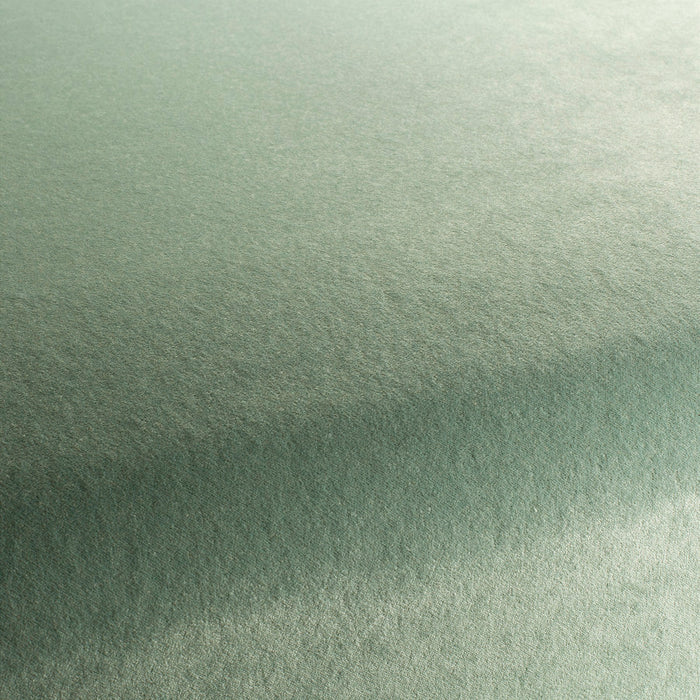 Carlucci Eternal Velvet 081 Fabric Sample CA1540/081