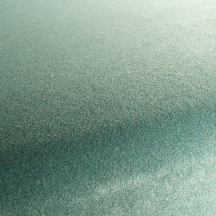Carlucci Eternal Velvet 082 Fabric Sample CA1540/082