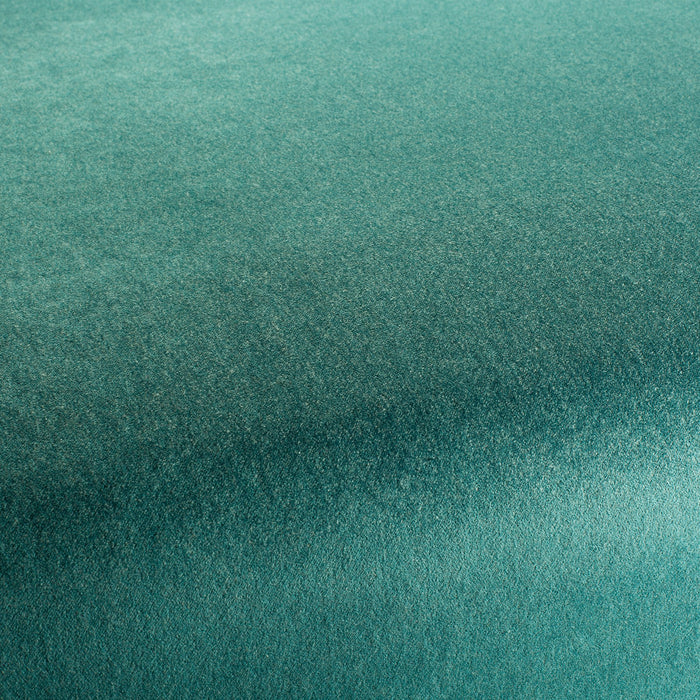 Carlucci Eternal Velvet 083 Fabric Sample CA1540/083