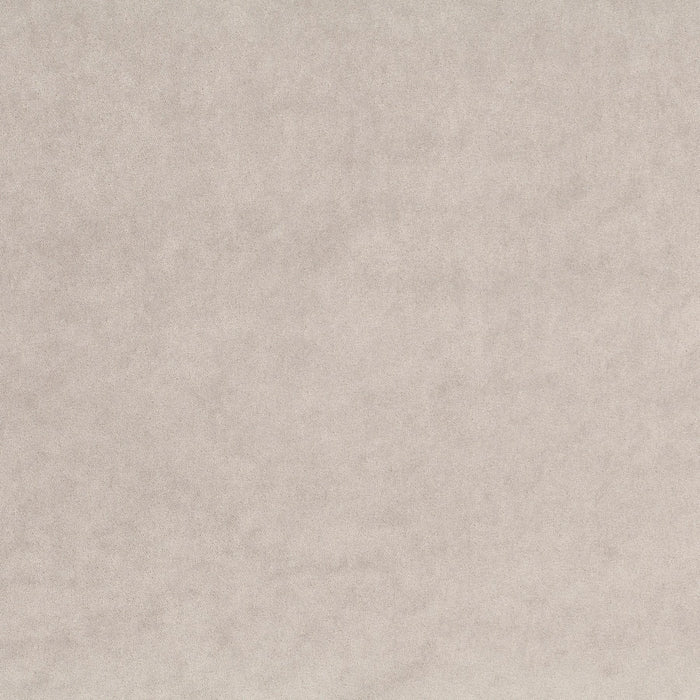 Carlucci Eternal Velvet 091 Fabric Sample CA1540/091