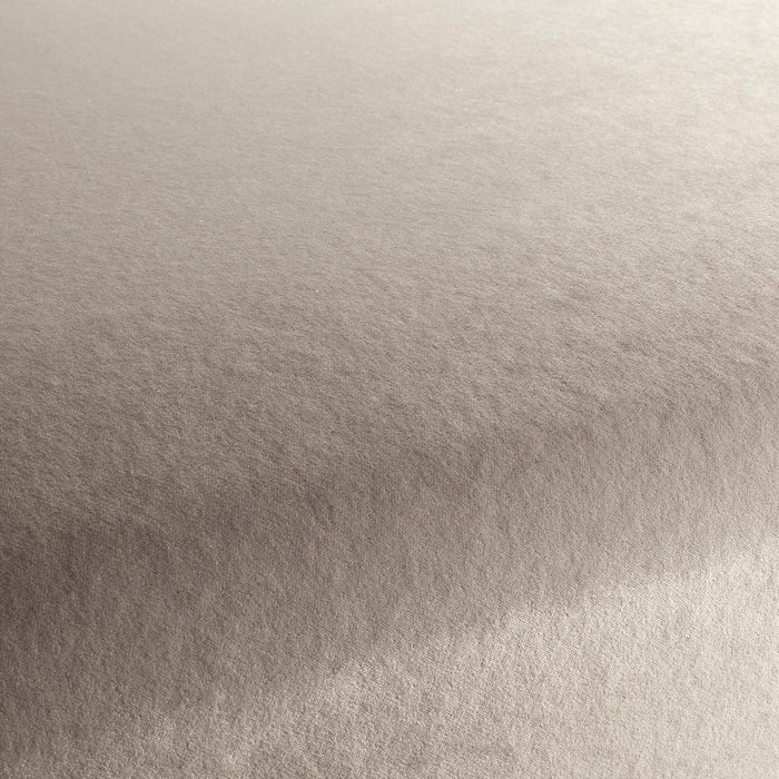 Carlucci Eternal Velvet 091 Fabric Sample CA1540/091