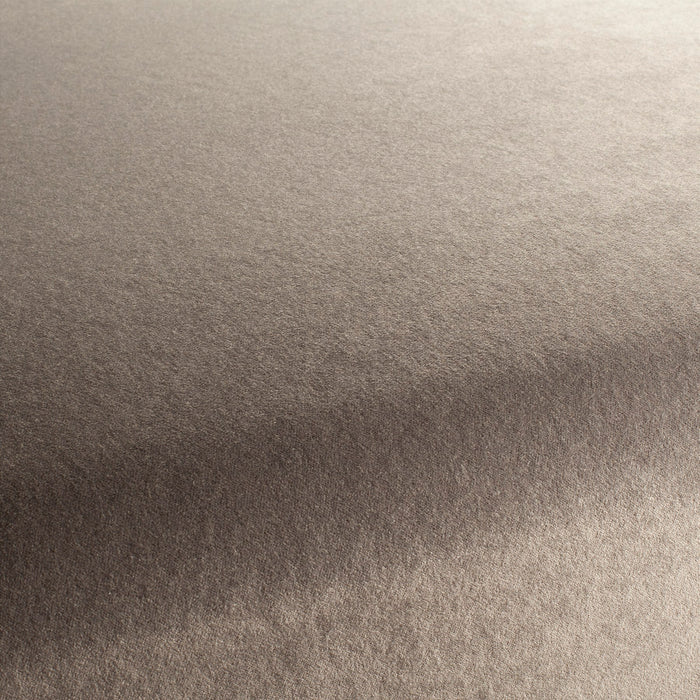Carlucci Eternal Velvet 092 Fabric CA1540/092