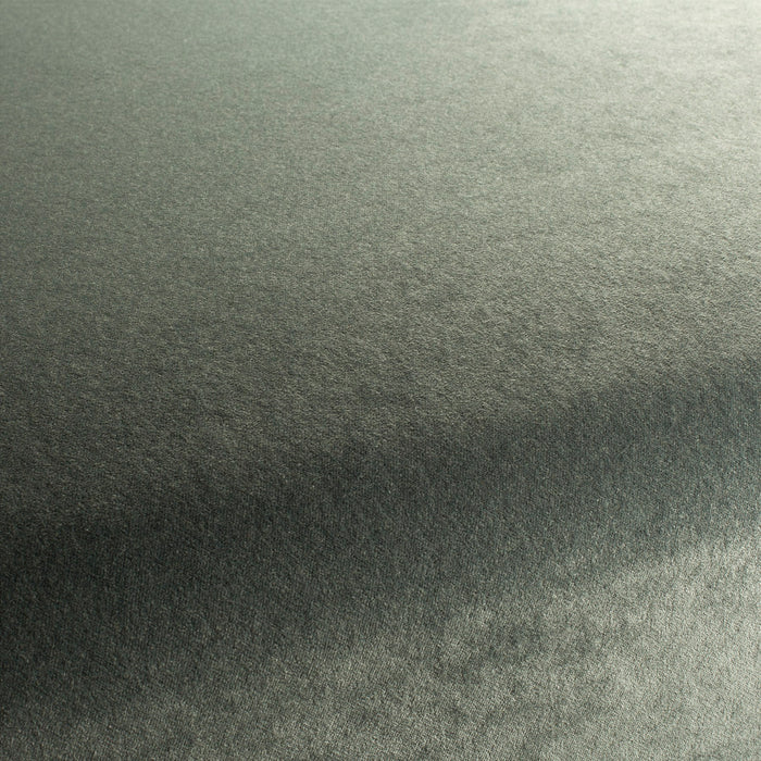 Carlucci Eternal Velvet 093 Fabric Sample CA1540/093