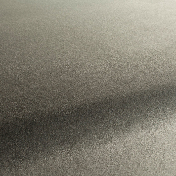 Carlucci Eternal Velvet 094 Fabric CA1540/094