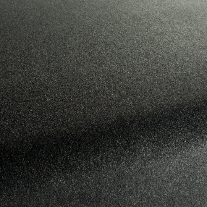 Carlucci Eternal Velvet 099 Fabric Sample CA1540/099