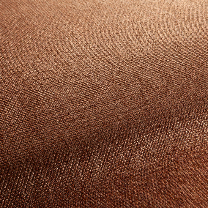 Carlucci Invincible 021 Fabric Sample CA1568/021