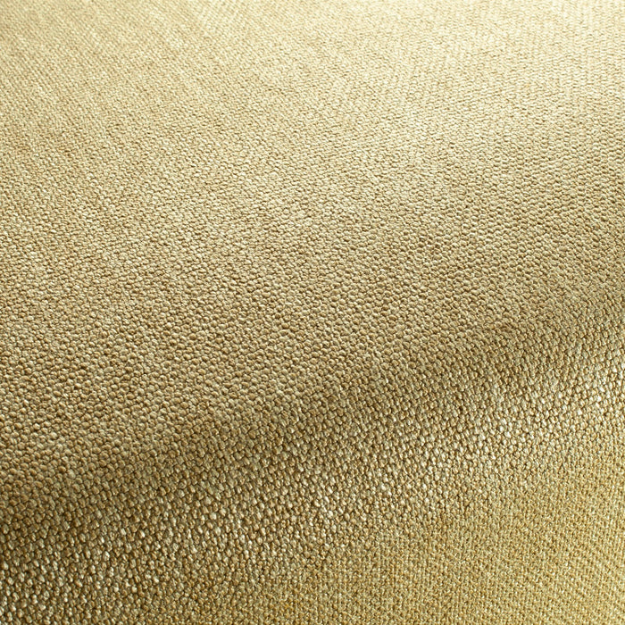 Carlucci Invincible 030 Fabric CA1568/030