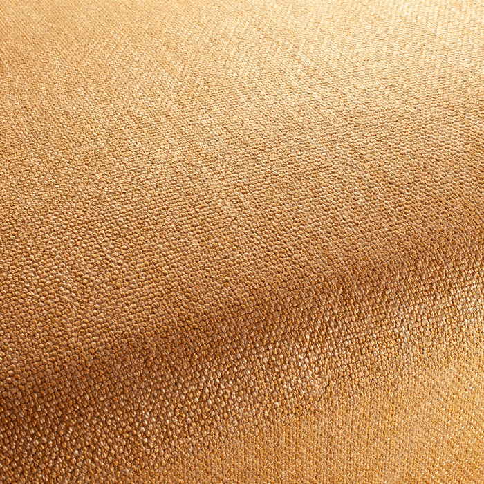 Carlucci Invincible 040 Fabric CA1568/040