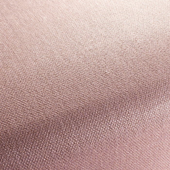 Carlucci Invincible 062 Fabric Sample CA1568/062
