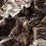 Carlucci Outerspace 020 Fabric Sample CA1584/020