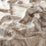 Carlucci Outerspace 070 Fabric CA1584/070