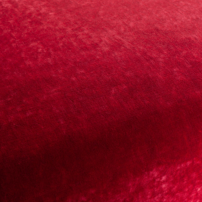 Carlucci Sensual Velvet 010 Fabric CA1639/010