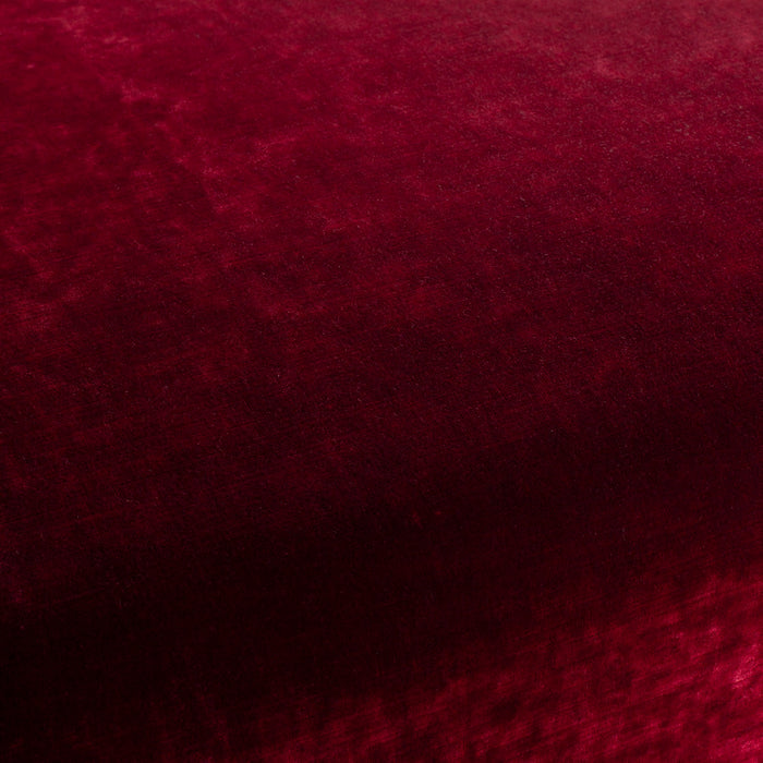 Carlucci Sensual Velvet 011 Fabric Sample CA1639/011