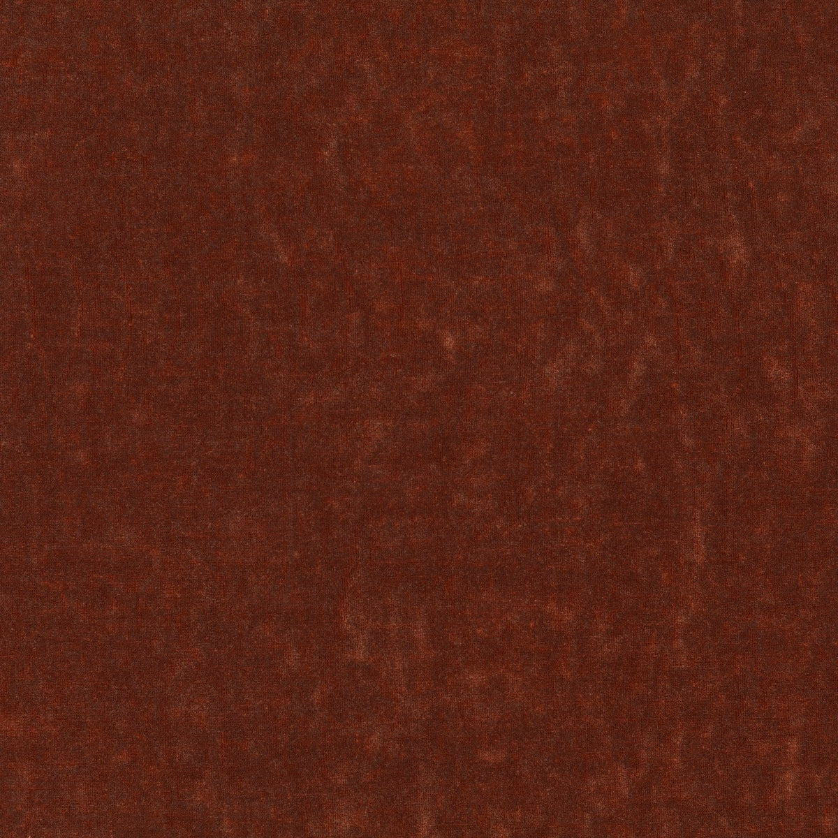Carlucci Sensual Velvet 021 CA1639/021 Sample | 40% Off (Samples)