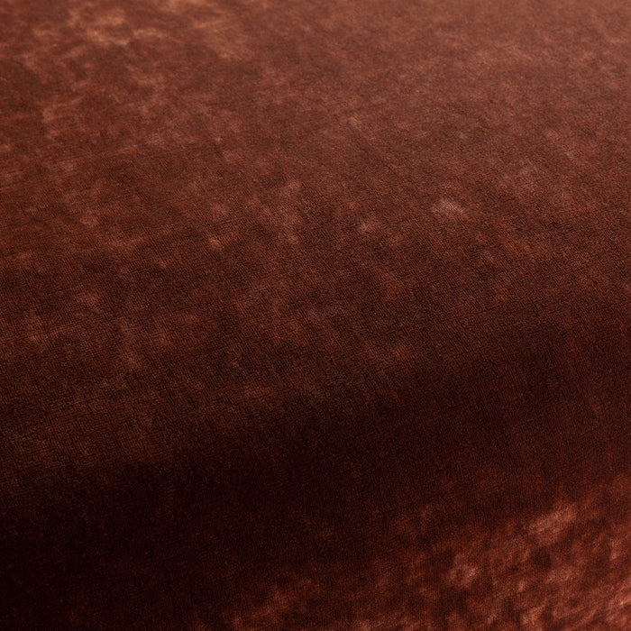 Carlucci Sensual Velvet 021 Fabric Sample CA1639/021
