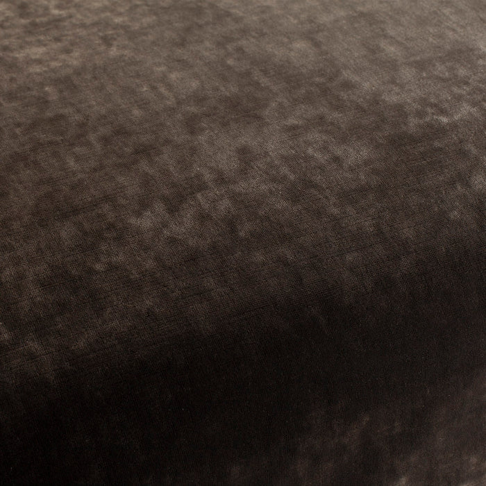 Carlucci Sensual Velvet 023 Fabric Sample CA1639/023