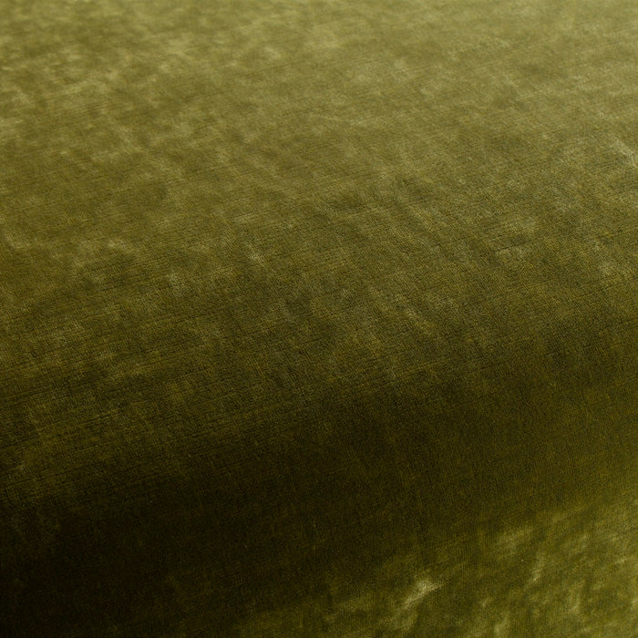 Carlucci Sensual Velvet 031 Fabric Sample CA1639/031