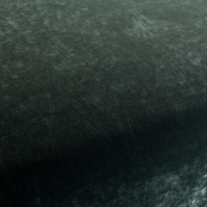 Carlucci Sensual Velvet 032 Fabric CA1639/032