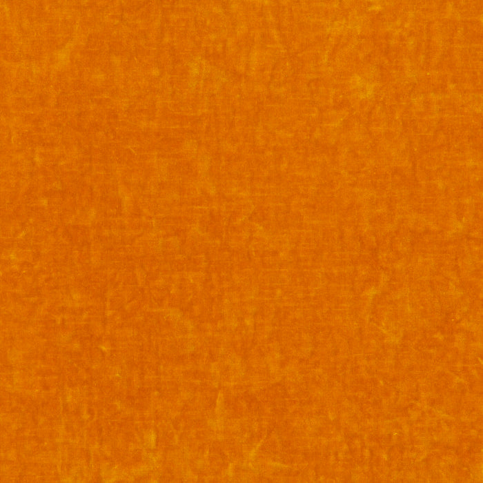 Carlucci Sensual Velvet 060 Fabric Sample CA1639/060