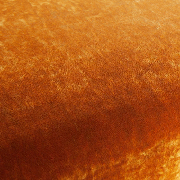 Carlucci Sensual Velvet 060 Fabric Sample CA1639/060