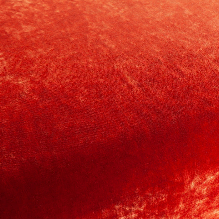 Carlucci Sensual Velvet 061 Fabric CA1639/061