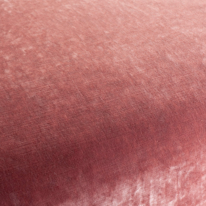 Carlucci Sensual Velvet 062 Fabric Sample CA1639/062