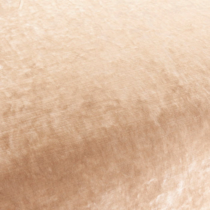 Carlucci Sensual Velvet 071 Fabric Sample CA1639/071