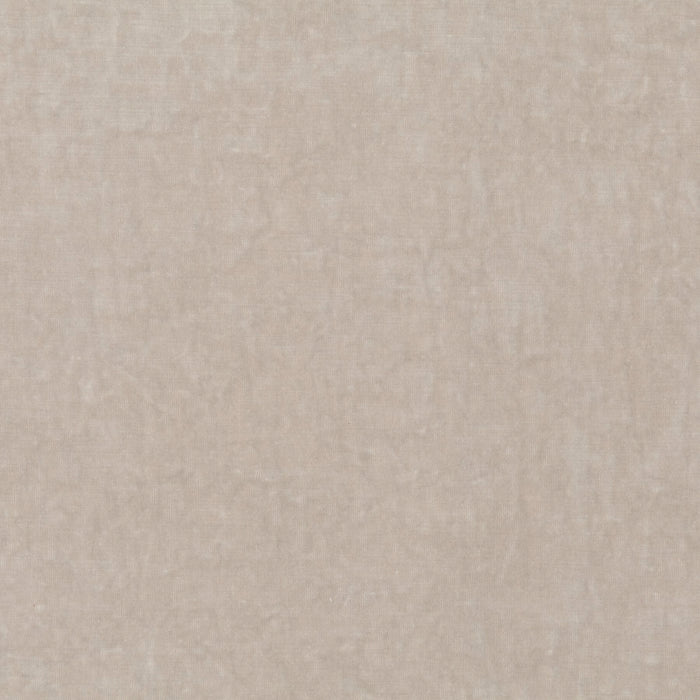 Carlucci Sensual Velvet 072 Fabric Sample CA1639/072